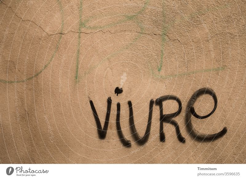 Motto of the day on the wall: VIVRE Wall (building) Characters Word Letters (alphabet) Vivre Graffiti Colour photo dunning Deserted French Life