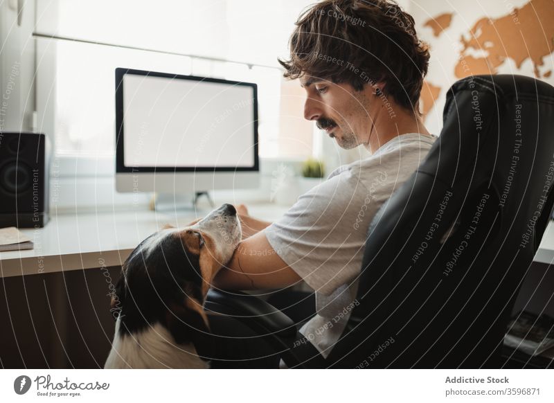 Male freelancer with dog at home man work entrepreneur remote serious animal busy male professional casual sit chair office cute modern occupation career pet