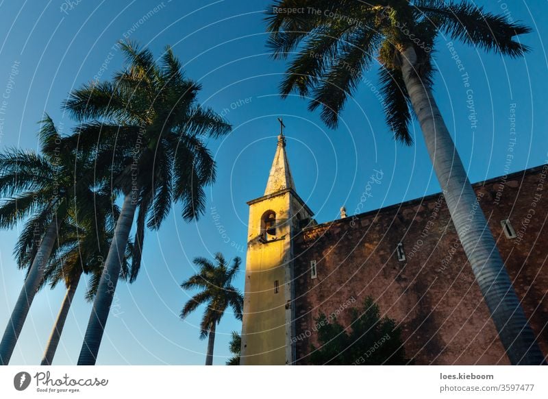 Belfry of the church Santa Ana, framed by palm trees at sunset, Merida, Yucatan, Mexico Mérida Landmark Americas travel Colonial Church Yellow Tower Tourism