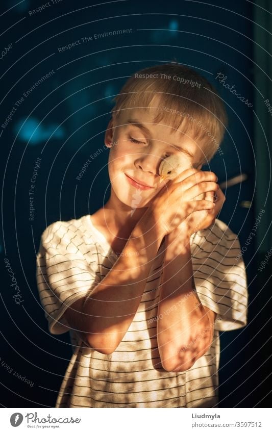 Little boy is tenderly holding and hugging a small chicken in his hands in sun rays. Loving animals concept face farmer favorite gentle tenderness feelings