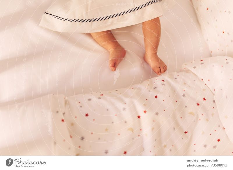 baby's legs on the bed. little baby legs in dress. top view background home daughter newborn cotton blanket woolen white beauty people caucasian closeup cute