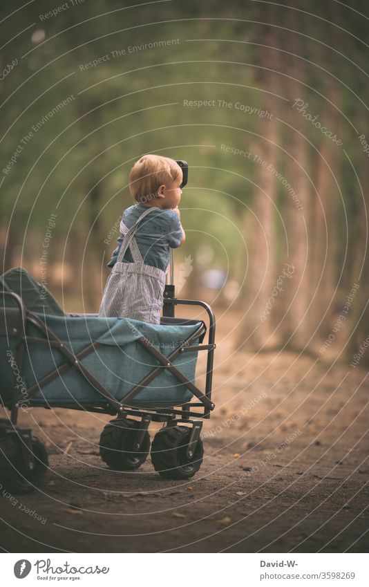 little captain indicates the direction in the handcart Boy (child) Child Toddler Cute Direction Trend-setting Command Sweet Cuteness wittily Funny already