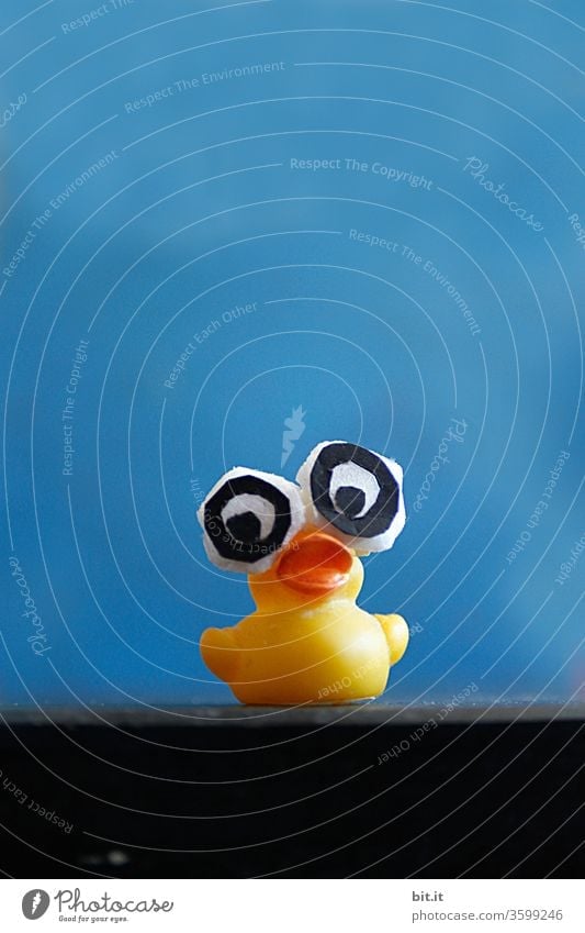 Funny, witty, yellow billy goose with huge, big glued-on fake eyes, looks  curious. Bright, poppy little rubber duck waiting for bath. Gummitier is  looking forward to beach holidays, pool, summer holidays, bathing