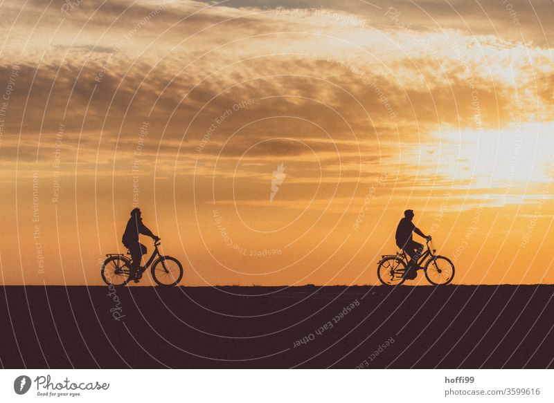 Sunset with cyclists at the dike Silhouette Cycling Human being 2 Adults Sunrise Relationship Teamwork Twilight Beautiful weather Landscape Couple Beach Nature