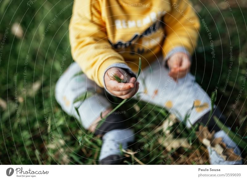 Toddler sitting on grass Baby Child childhood Curiosity Innocent Discover Colour photo Infancy Human being Exterior shot 0 - 12 months Happiness Nature