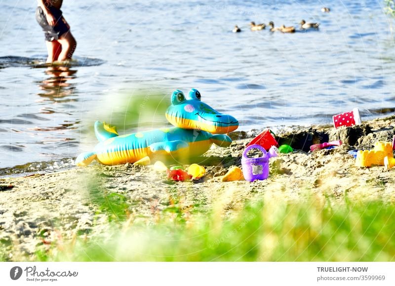 Summer heat and games on the Havel beach in the water and sand with an inflated blue and yellow swimming crocodile, colourful plastic moulds and buckets while a person is standing in the water and a family of ducks swims away in the background