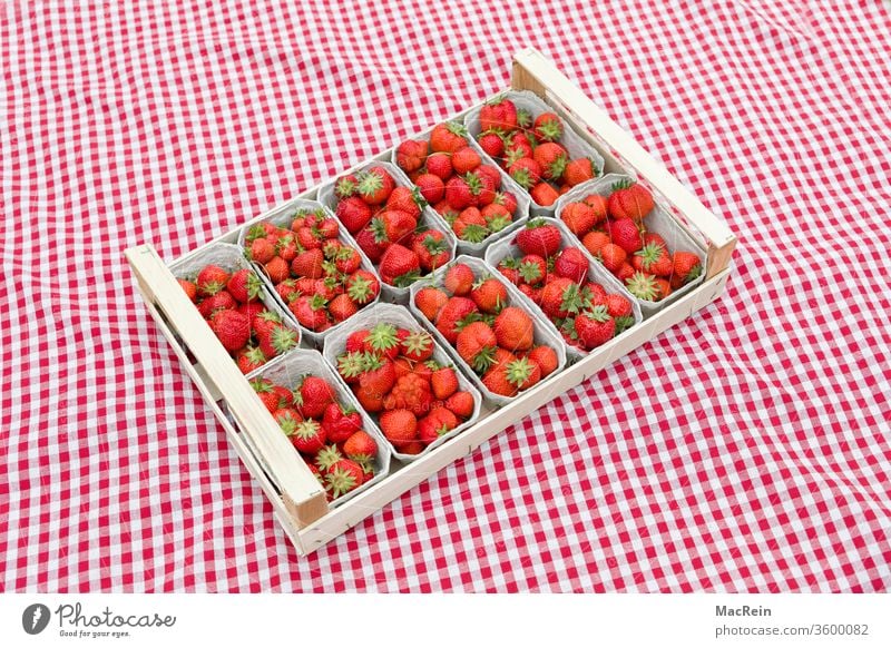 Strawberries on a checked cloth Strawberry strawberry box of strawberries Berries fruit fruits Fresh Picked Lawn green Nature Rag Blanket career red chequered
