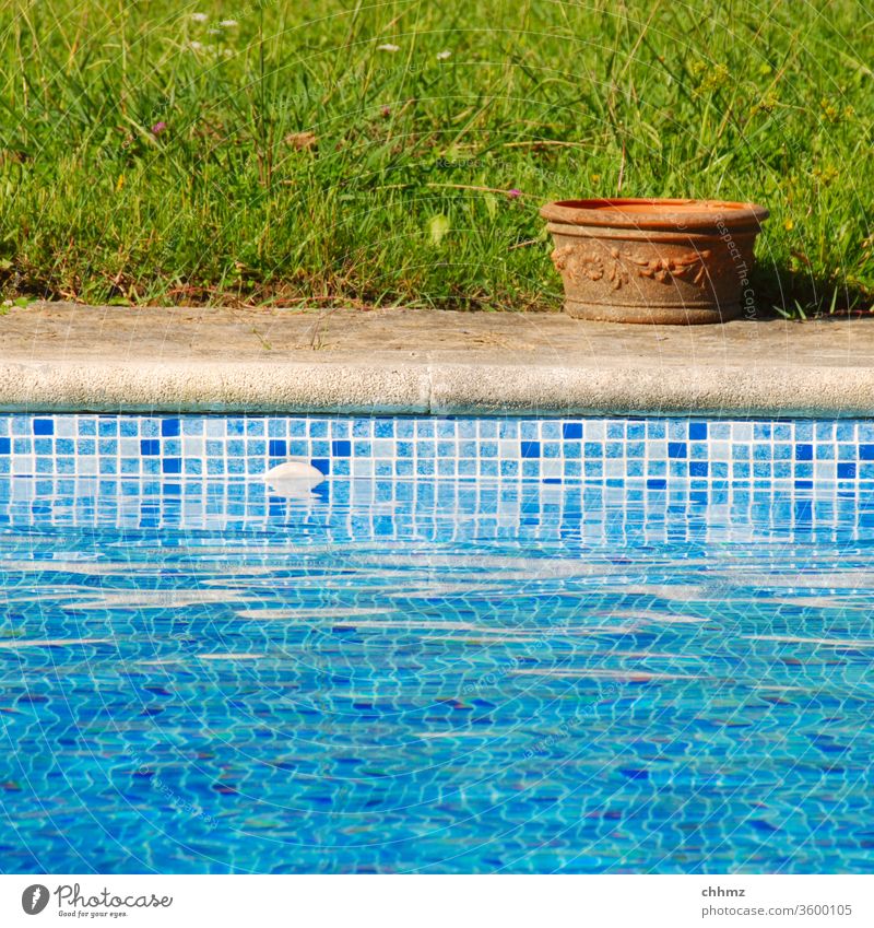 Pot by the pool Swimming pool swimming pool Water Basin Pottery Grass Meadow edge Intersection Pool border Swimming & Bathing Wet Flowerpot Tile Blue green