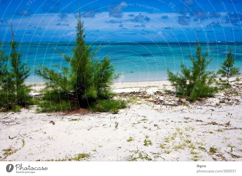 ile du cerfs in mauritius, a beach ND BUSH Beach Ocean Island Clouds Blue Brown lkpro isola cervi isola dei cervi spiaggia mare nuvole blu verde marrone sabbia