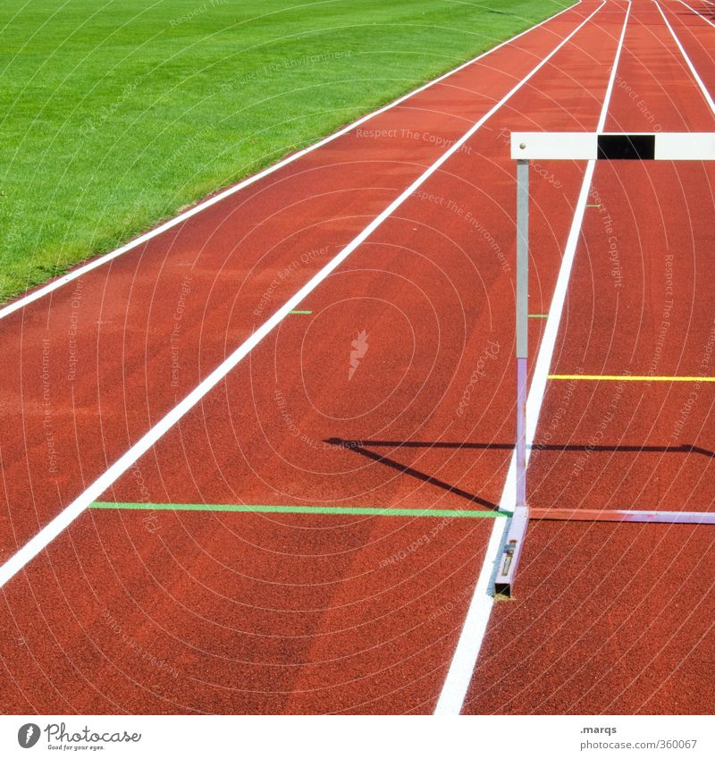 hurdle Sports Fitness Sports Training Track and Field Success Sporting Complex Stadium Career Hurdle Hurdle run Vanishing point Sign Performance Perspective