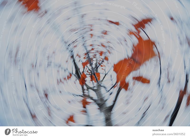 wiping and turning autumn tree Nature rotation Rotation Movement Motion blur Dynamics Round Circle blurred foliage leaves Autumn Abstract Exterior shot Deserted