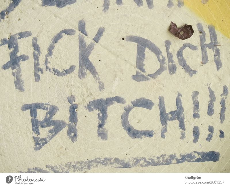 FUCK YOU BITCH!!! Aggression Emotions bitch fuck you Curse Rant Exclamation mark insult vulgar jargon Aggravation furious Communicate Signs and labeling