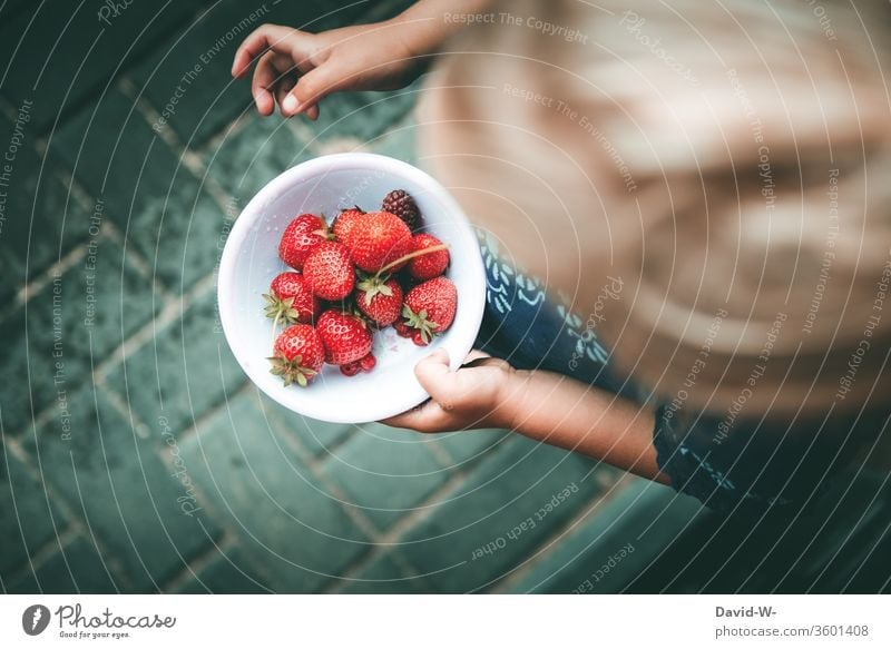 a small bowl of red berries collected by myself girl shell Strawberry strawberry Fruity Red Delicious salubriously vitamins Garden fruit Fresh Food Colour photo