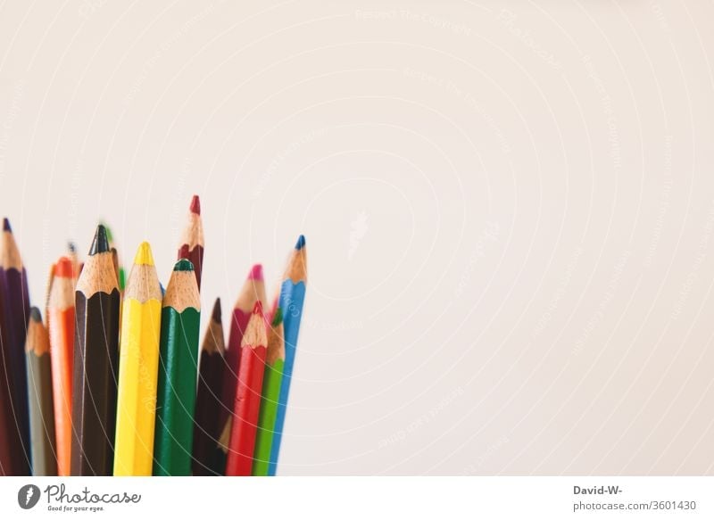 Coloured pencils against a white background crayons pens colors colourful Painting (action, artwork) creatively Creativity flaked Piece of paper Copy Space