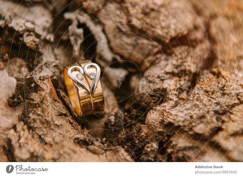 Wedding rings on wooden surface wedding ceremony golden marriage love celebrate heart shape event symbol romantic tradition engagement elegant jewelry shiny