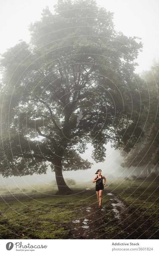 Fit woman running along path in misty forest sportswoman runner fit athlete wood training morning workout female sportswear wet pathway healthy fitness dirty