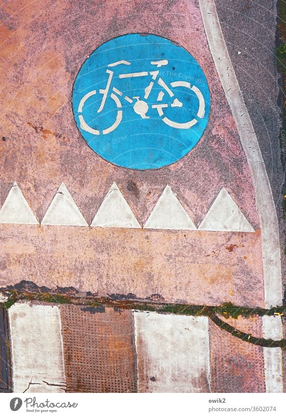 It bikes Pictogram Bicycle Prongs Dye Lane markings Crack & Rip & Tear Trend-setting Direction Considerable Signal Colour photo Exterior shot Close-up Long shot