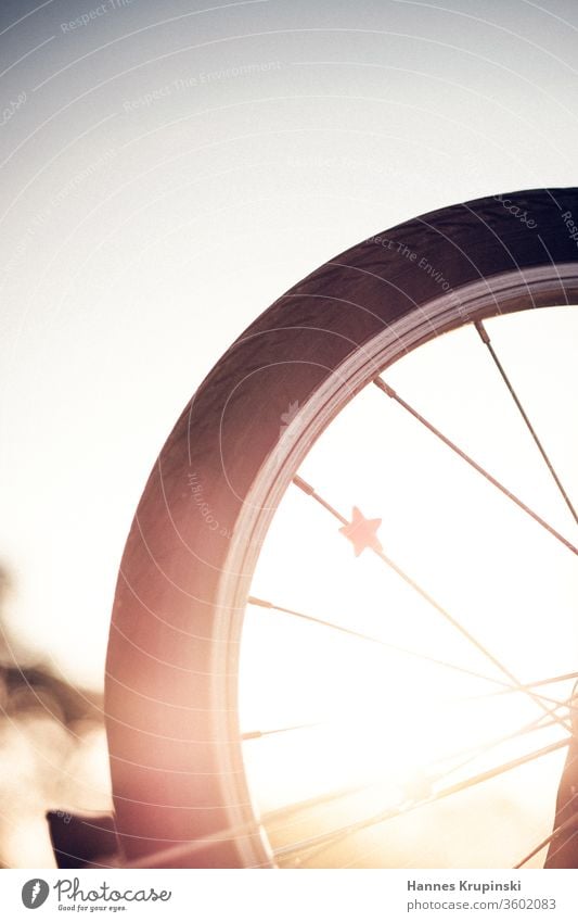 Wheel and Stars wheel Starling Back-light bike Bicycle golden hour Free space above depth of field Summer Exterior shot Sunset Evening Colour photo Deserted