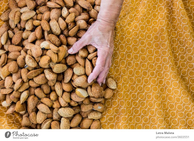Hand in autumn almonds Almond Autumn fall Brown Food Nature Natural