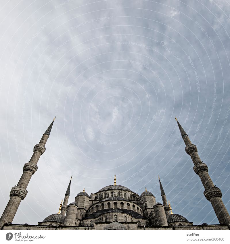 1001 nights Sky Clouds Summer Beautiful weather Istanbul Turkey Capital city Downtown Old town Church Facade Tourist Attraction Landmark Blue Mosque Esthetic