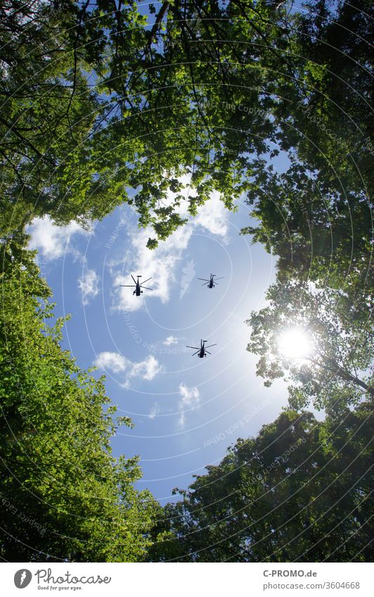 Helicopter in the sky above the forest clearing Clearing Sky military Safety Surveillance Federal armed forces Risk of terrorism Sunlight