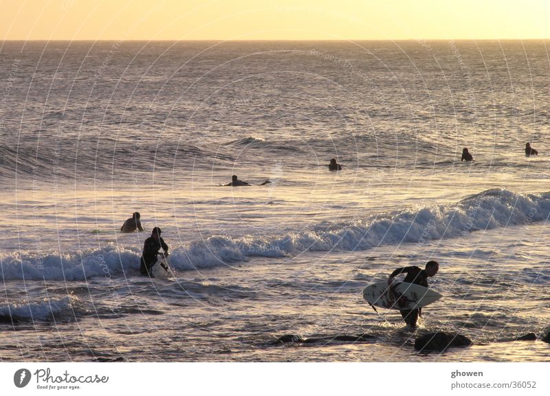 Surf is over Sunset Surfer Waves Ocean Back-light Water