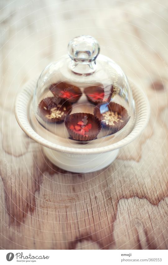 chocolates Dessert Candy Chocolate Nutrition Finger food Cake plate Delicious Sweet Confectionary Colour photo Interior shot Deserted Copy Space bottom Day