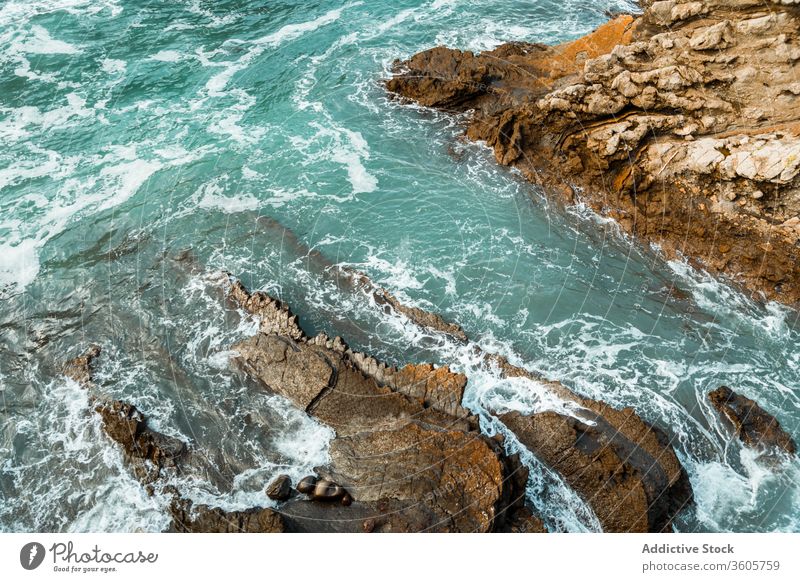 Rough rocks washed by ocean waves forming foam in daylight sea breathtaking picturesque spectacular scenery seascape nature idyllic harmony paradise peaceful