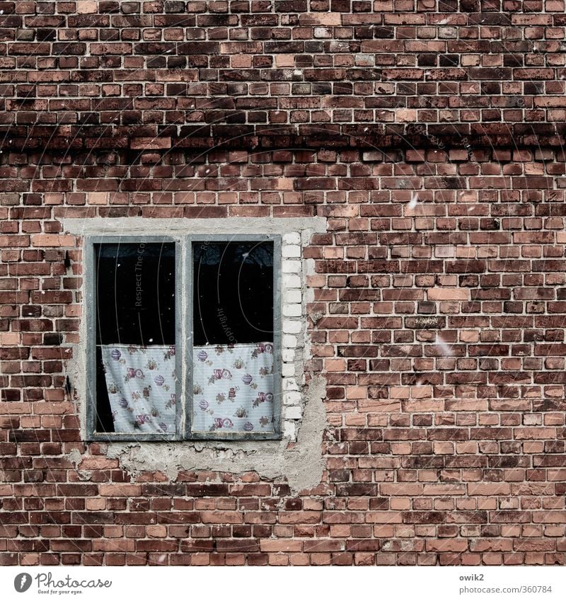 Window to the courtyard Wall (barrier) Wall (building) Facade Old Gloomy Design Pure Decline Past Transience Vacancy Curtain Ravages of time Derelict Incomplete