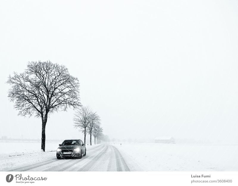 Winter in Bavaria, minimalist scene, white landscape with snow and fog, country road flanked by black trees with barren branches and a car coming bavarian