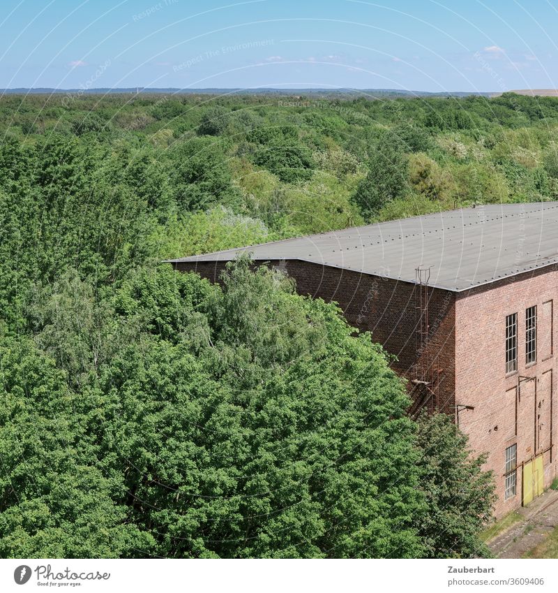Brick factory building stands in the forest Factory brick Forest huts green Red Brick red Industry Monument Industrial monument Horizon Eberswalde Crane factory