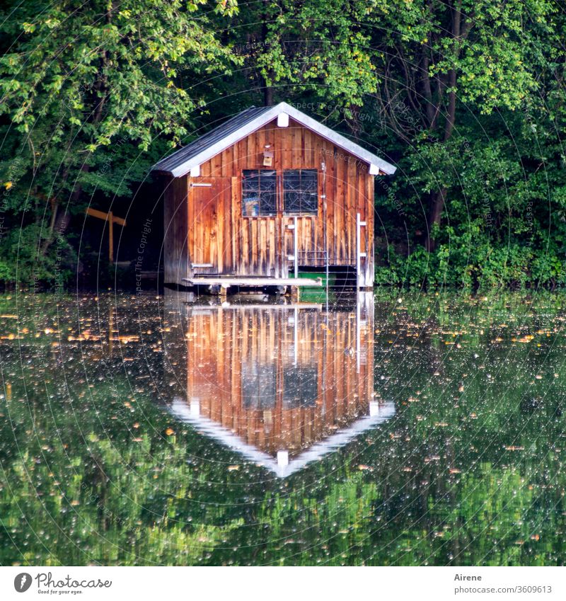Symmetry | for constant days hut Boathouse Pond Lake Lakeside Forest Positive Relaxation Calm Loneliness Wooden house Reflection Mirror image