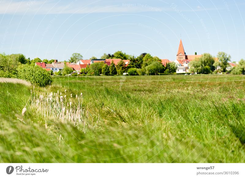 View of the small town of Schwaan with church and the Warnow meadows in the foreground from the south city view Mecklenburg-Western Pomerania Church