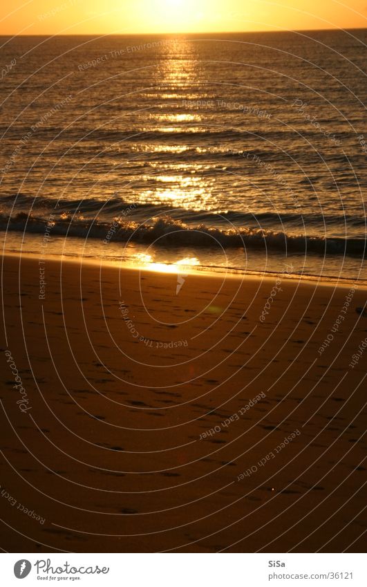 The sun rises Beach Sunrise Ocean Yellow Morning