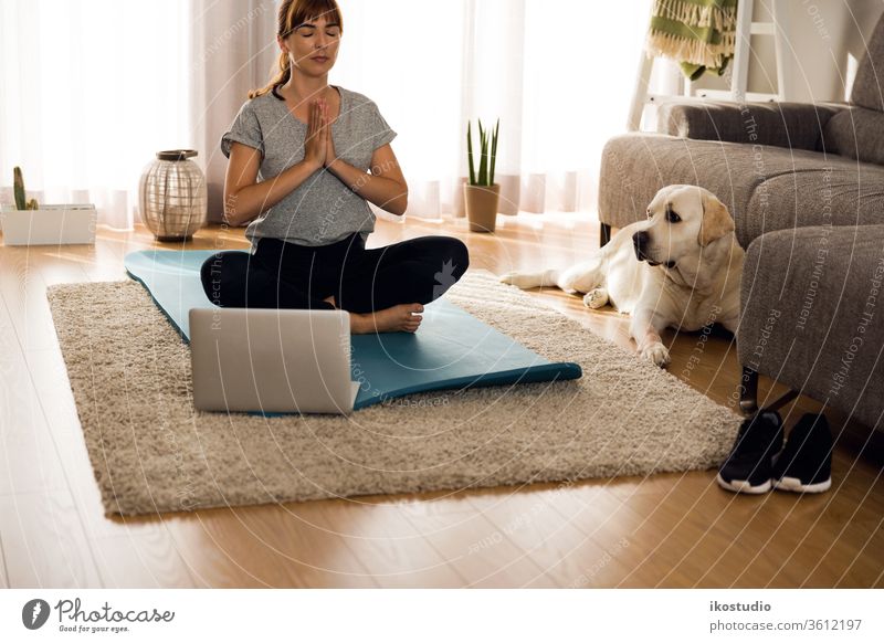 Doing exercise with my lazy dog home woman yoga fitness meditation relaxing pet workout online healthy girl yogi meditate breath laptop technology internet