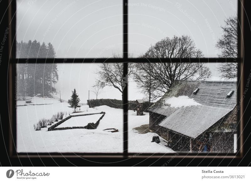 View of the snow-covered farm December Holidays in winter Black Forest Subdued colour Calm Gray Day Weather Shallow depth of field Environment Landscape