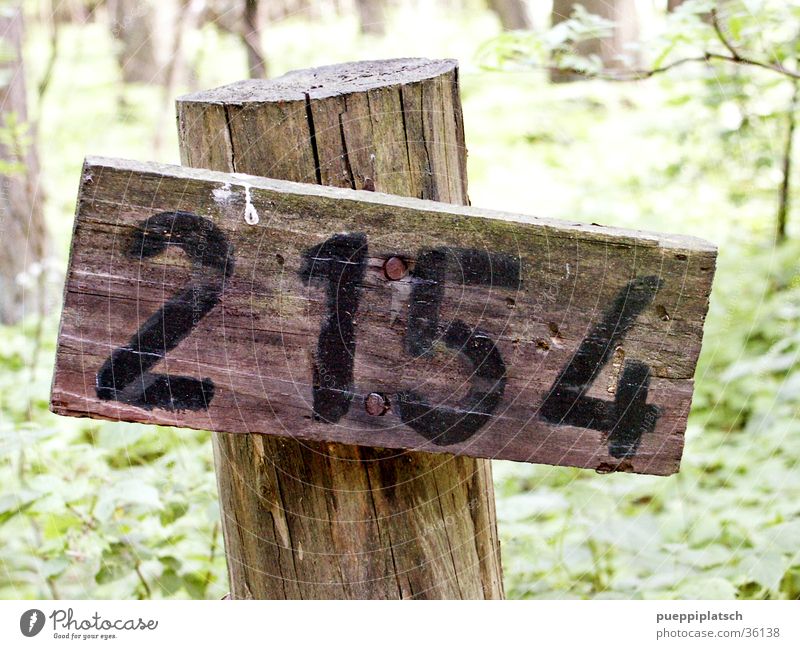 any number in the woods Digits and numbers Forest Green Wood Tree Bird droppings Nail 2154 Wooden board