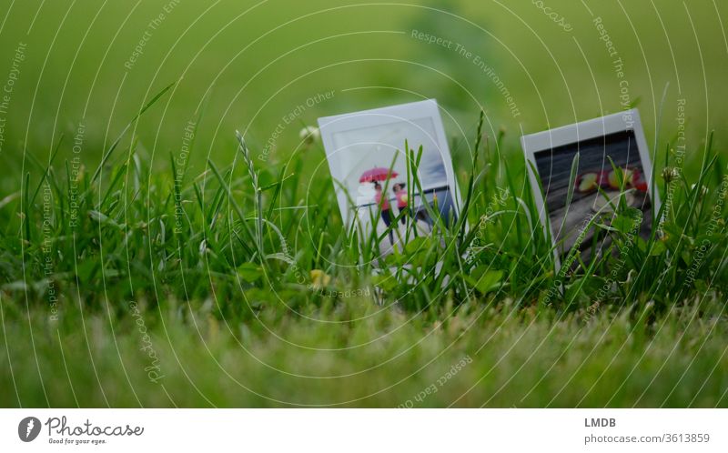 Polaroid in the green duo Grass Meadow instax mini pink Joie de vivre (Vitality) Nature girlfriends Umbrellas & Shades depth blur Picnic Sunglasses Trip Summer