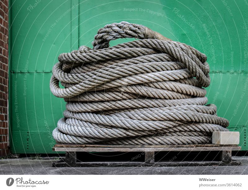 Rolled up ropes in front of a green door in the harbour Dew Rope leash Harbour Coil ships Navy Beaten Rotated natural fibre pallet wood Hawser Seaman coiled