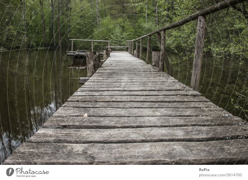 Footbridge at a fishpond in the woods. pier jetty Mole Lake Body of water Water Sky Weather Light Habitat Moody silent tranquillity Valley Nature Park Landscape