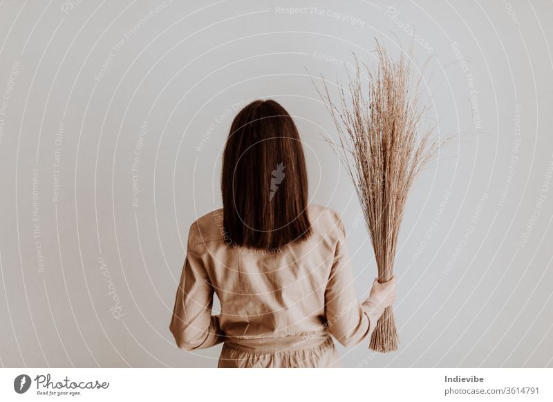 Female holding a bunch of dried straw in her right hand in a studio with white wall woman fashion hair plant wheat nature beauty young field grain portrait