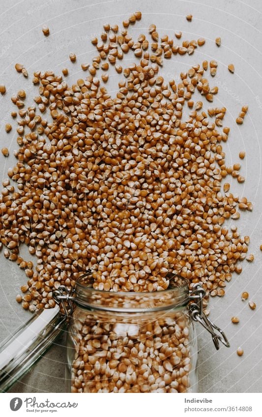 Corn seeds and a glass jar container on a grey background corn food brown isolated grain ingredient dry cereal healthy organic heap white vegetarian raw texture