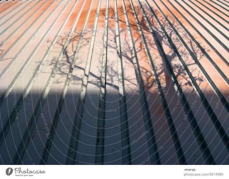 Tree shade on facade Facade lines Shade of a tree shadow cast Bleak Autumn Metal Vanishing point Perspective