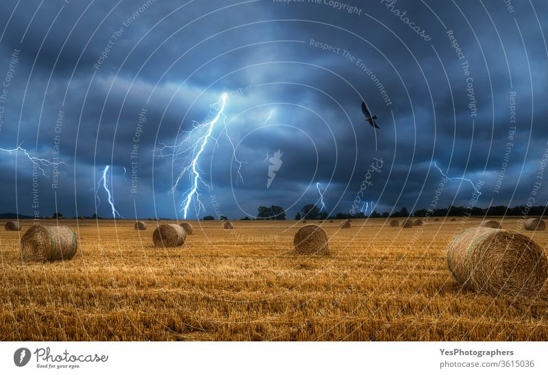 Hay bales on field during a lightning storm. Dark and stormy landscape Germany agricultural field agriculture bad weather bales of hay cloudy sky country life