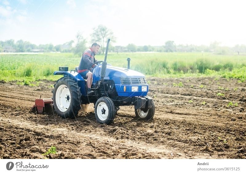 A farmer on a tractor works on the field. Growing crops in a small agricultural family enterprise. Small business support. Farming and agriculture. Cultivation technology equipment. Food production