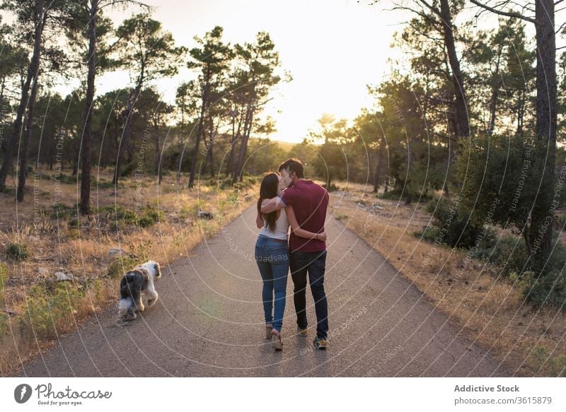 Tranquil couple on road with dog kiss tranquil sunset harmony together relax stand amazing girlfriend boyfriend roadway old english sheepdog enjoy relationship