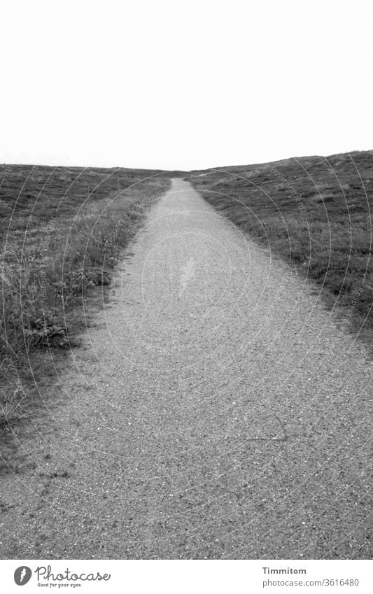 Path and dunes off Long Sand Grass Horizon Sky Denmark Black & white photo Deserted Vacation & Travel Marram grass