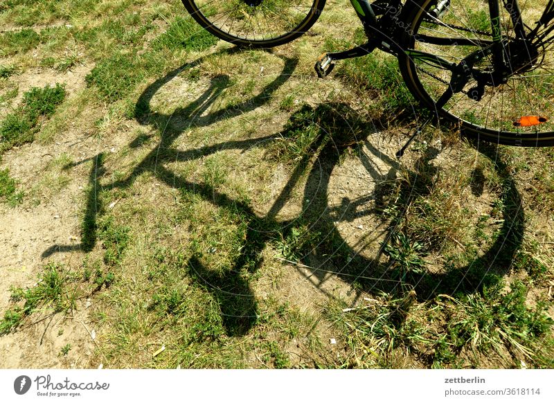 Bike in the grass Wheel Bicycle Meadow Grass Light Shadow Sun Summer Trip bike tour Cycling tour rest Break Accident Nature vacation holidays