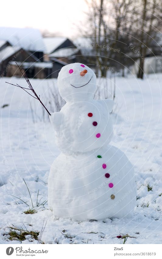 Smiling snowman in the village colorful button white happy buttons carrot nose winter outdoor branch cold