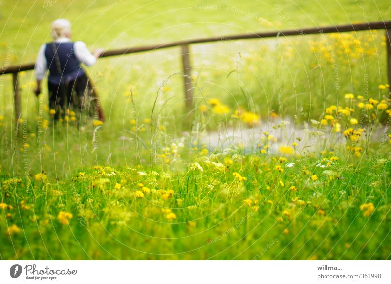 Retirement. Pause. Senior woman in traditional costume. Contemplation in nature Alpine pasture Grandmother old lady Senior citizen Stop short Flower meadow